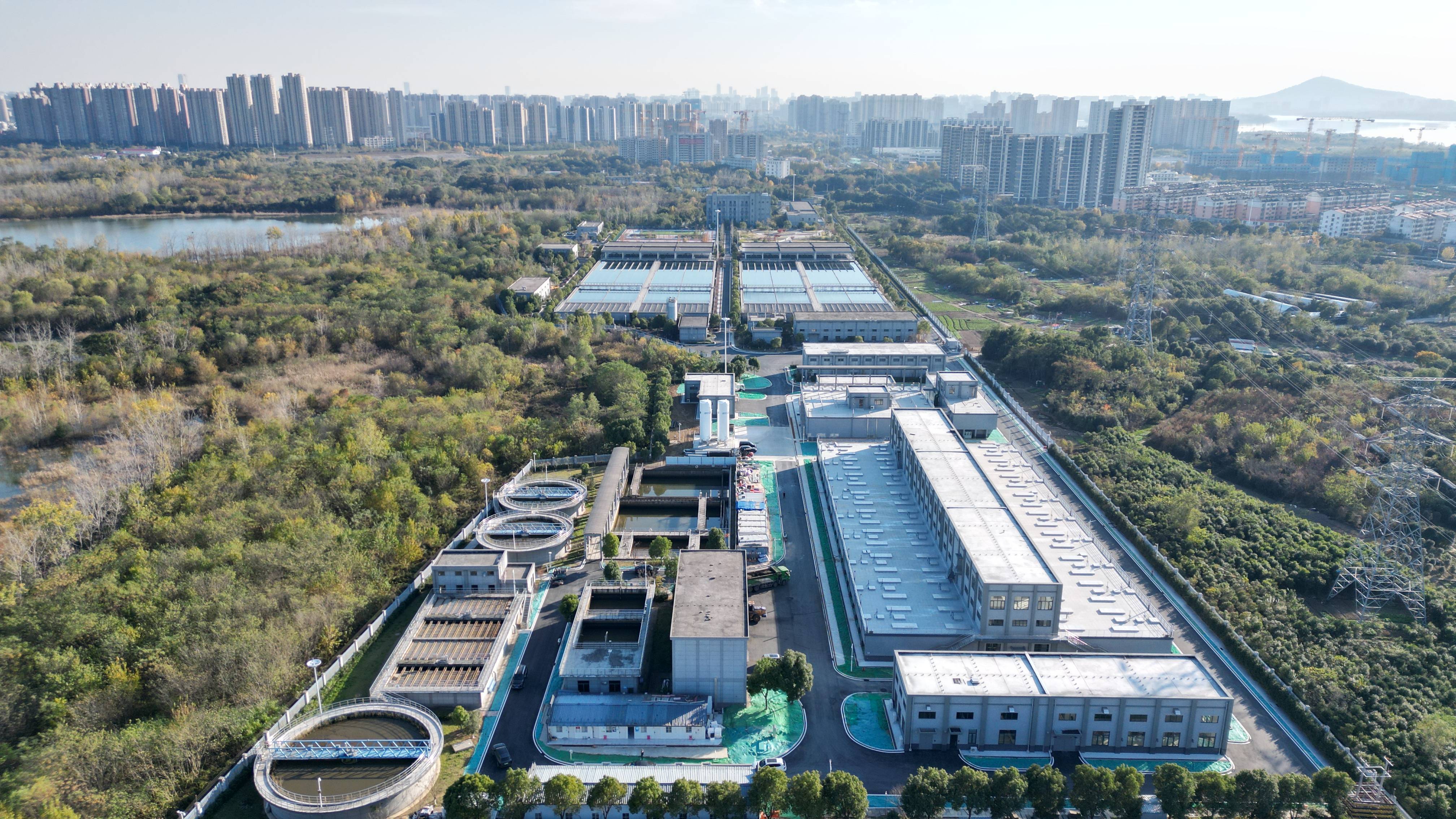 昌都市合肥专业企业价值增长(合肥市重点企业产业目录)