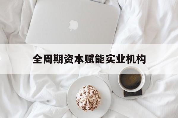 昌都市全周期资本赋能实业机构(全周期管理)